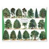 "Our British Forest Trees" Brevpapir (10/10)