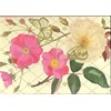 "Royal Horticultural Society 2" Eskesett (10), Rektangulært