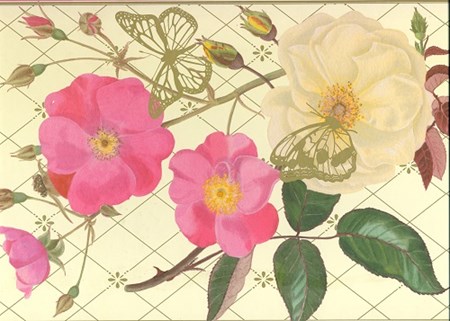 "Royal Horticultural Society 2" Eskesett (10), Rektangulært