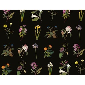 Giftwrap "British Museum - Delany Flowers" 696 x 500mm (25)
