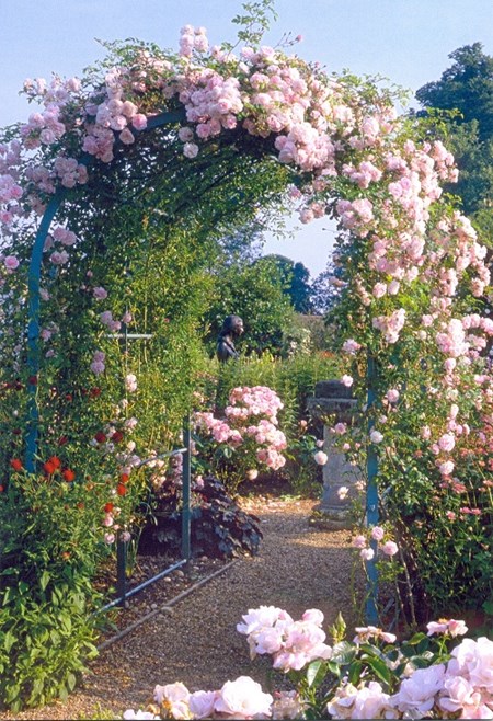 "Portal med rosa roser", dobbelt blomsterkort
