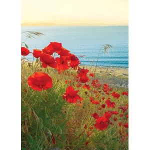 "Red Poppies at Sunrise" dobbelt kort