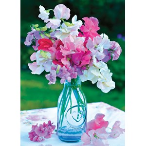 "Sweet Peas" dobbelt kort