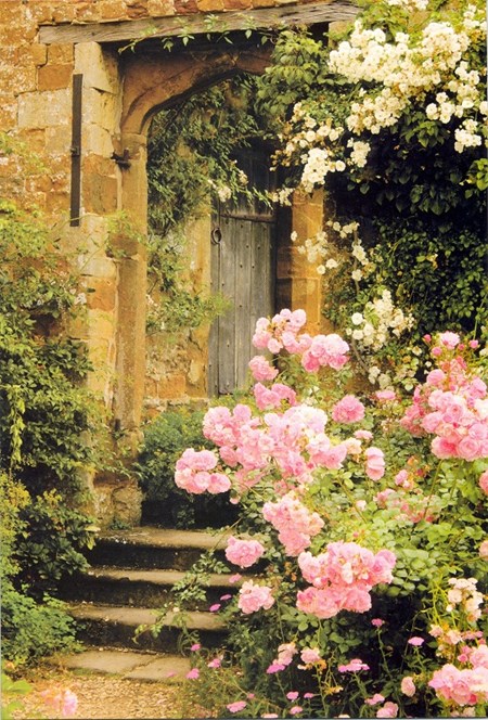 "Rosa roser og tredør", dobbelt blomsterkort