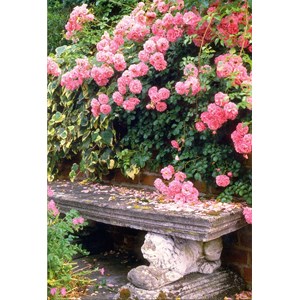 "Rosa roser og steinbenk", dobbelt blomsterkort