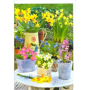 "Vårblomster i potter på hagebord"  Dobbelt blomsterkort