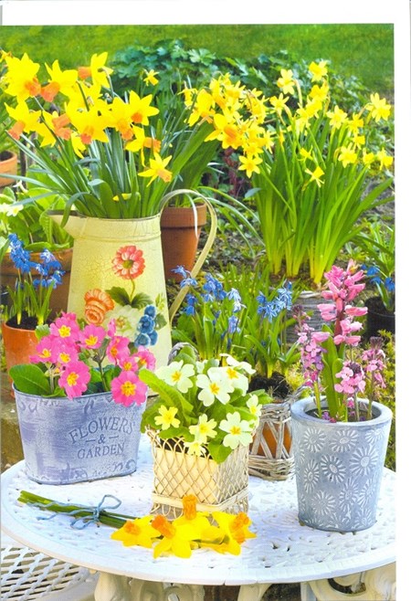 "Vårblomster i potter på hagebord"  Dobbelt blomsterkort