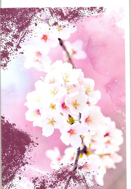 "Fruktblomstring rosa foliert"  Dobbelt blomsterkort