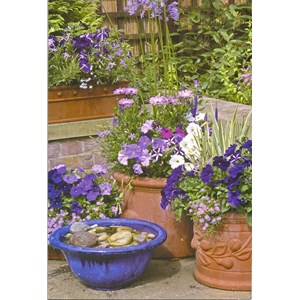 "Terrakotta potter med lilla blomster" Dobbelt blomsterkort