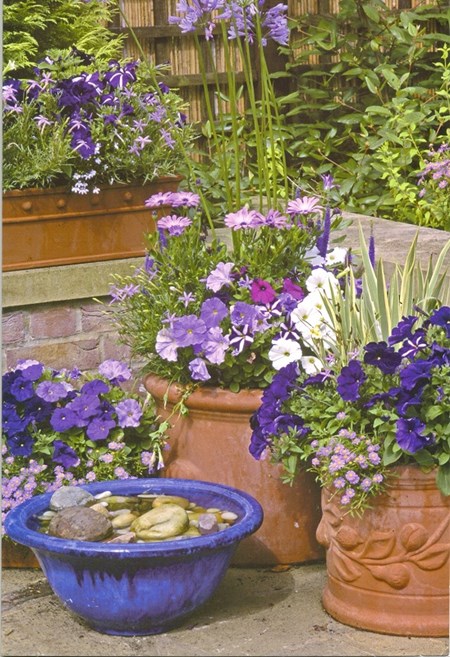 "Terrakotta potter med lilla blomster" Dobbelt blomsterkort