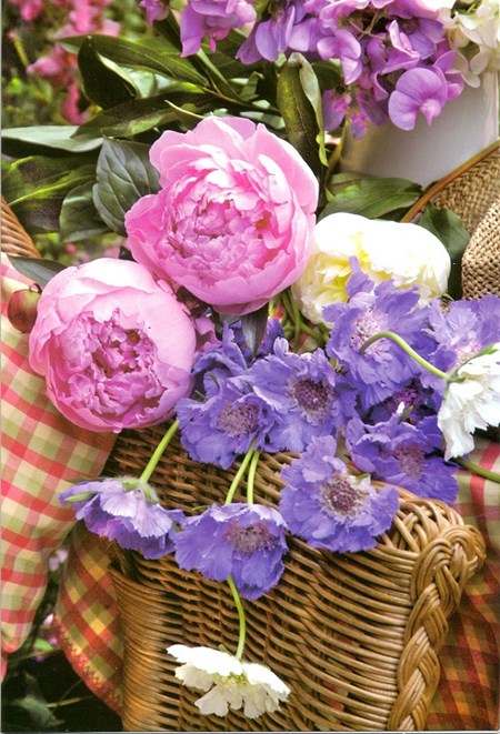 "Rosa og hvite pioner i kurv" Dobbelt blomsterkort