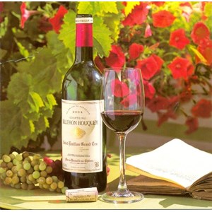 Red Wine and Petunias