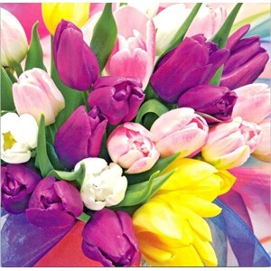 Colourful Tulips