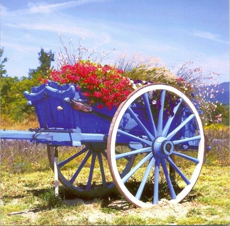 Flower Cart