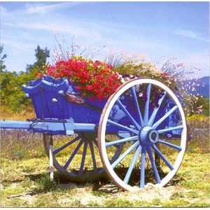 Flower Cart