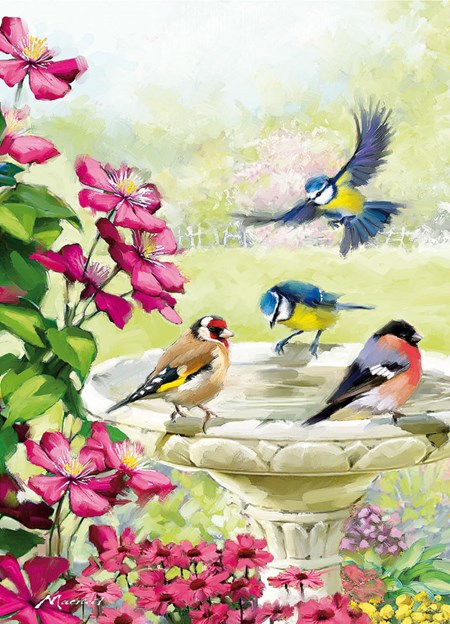 "Bird Bath" Dobbelt kort