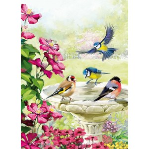 "Bird Bath" Dobbelt kort
