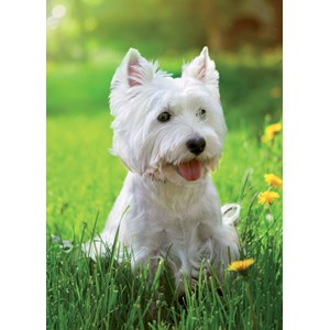 "Westie" dobbelt kort