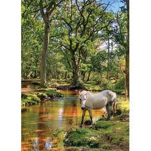 "Pony at Ober Water" dobbelt kort
