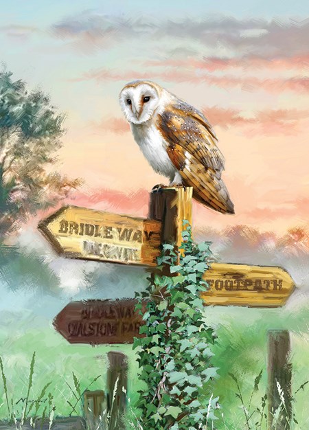 "Owl" dobbelt kort