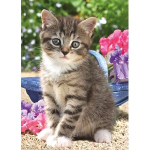 "Kitten with Sweet Peas" Dobbelt kort