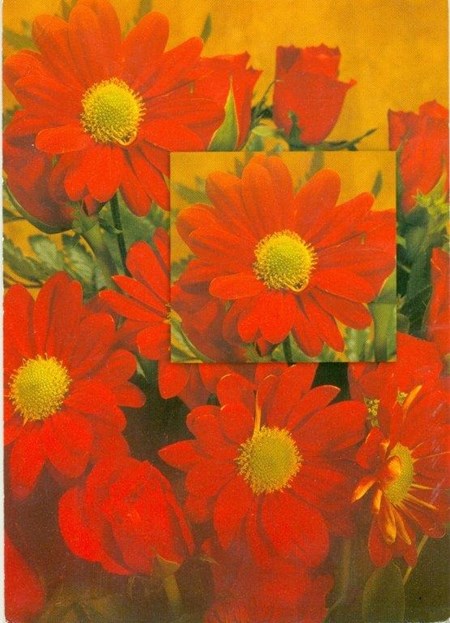 Enklekort, Blomster