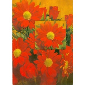 Enkle kort blomster/dyr