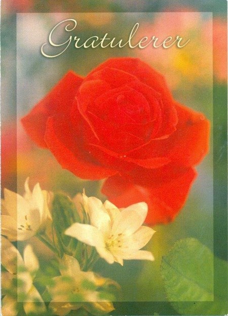 Enklekort, Gratulerer, Rød Rose