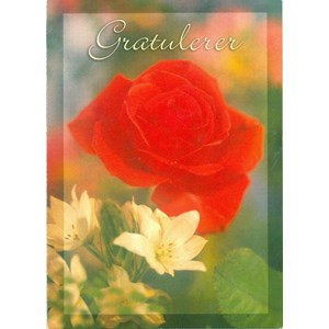 Enklekort, Gratulerer, Rød Rose