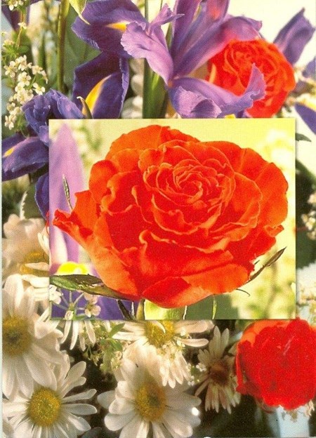 Enklekort, Blomster