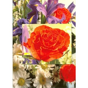 Enklekort, Blomster