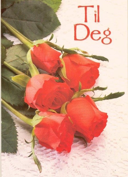 Enklekort, Til deg, Roser