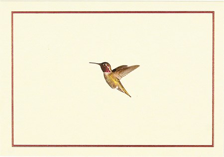 "Hummingbird Flight" Notecards (14/15)