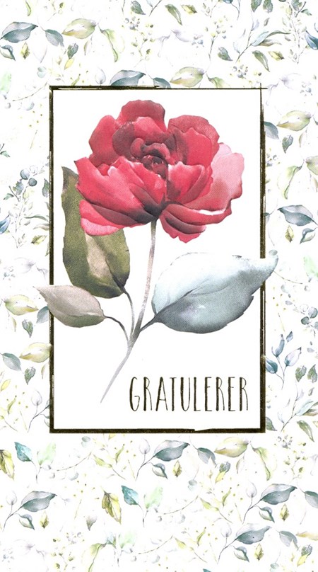 "Gratulerer" Enkel rød rose i ramme, dobbelt kort