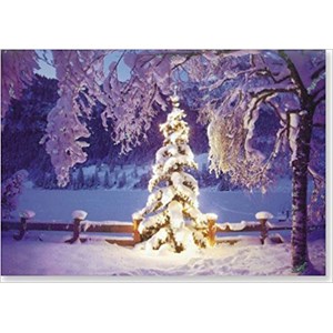 "Illuminated Tree", Julekort m/engelsk tekst