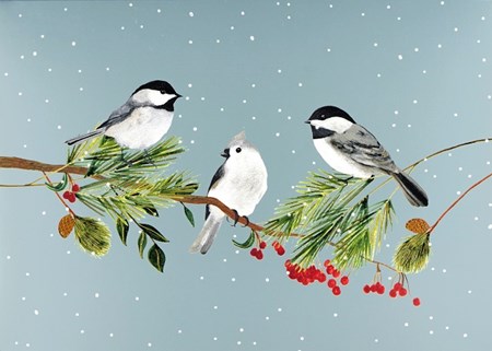 "Birds & Boughs" Deluxe Boxed Christmas Cards 20/21