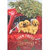 "Festive Pups" Small Boxed Christmas Cards 20/21