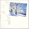 "Winter Scenes", 12 Luxury Christmas Cards,