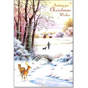 "Winter Scenes", 10 Luxury Christmas Cards,