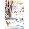 "Winter Scenes", 10 Luxury Christmas Cards,