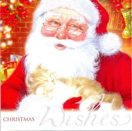 "Santa Puppy & Kitten", 10 Luxury Christmas