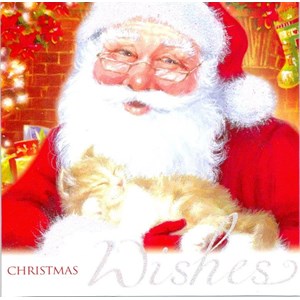 "Santa Puppy & Kitten", 10 Luxury Christmas