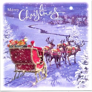 "Santa & Sleigh", 10 Luxury Christmas Card,