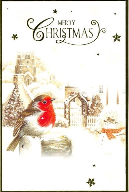 "Photographic Robin", 8 Luxury Christmas Car