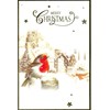 "Photographic Robin", 8 Luxury Christmas Car