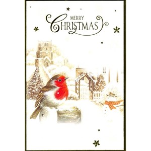 "Photographic Robin", 8 Luxury Christmas Car