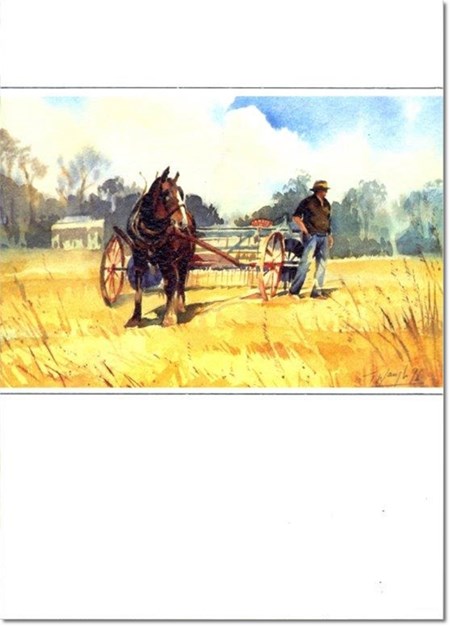 "Shire Horse and Plough"