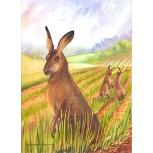 "March Madness - Hare in Spring", Mariana-Ar