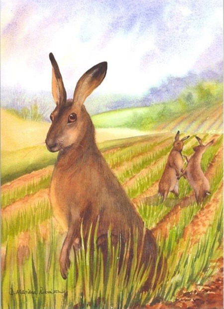 "March Madness - Hare in Spring", Mariana-Ar