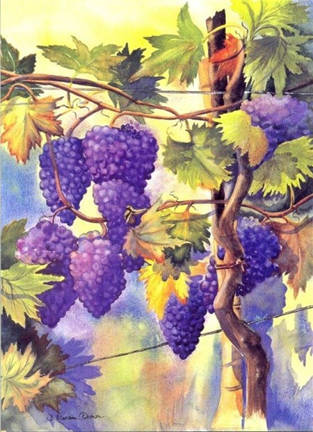 "Tuscan Harvest", Mariana-Art